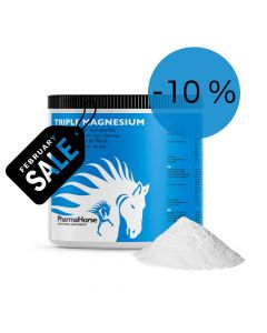 Triple Magnesium horse 