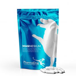 how much magnesium should i give my dog